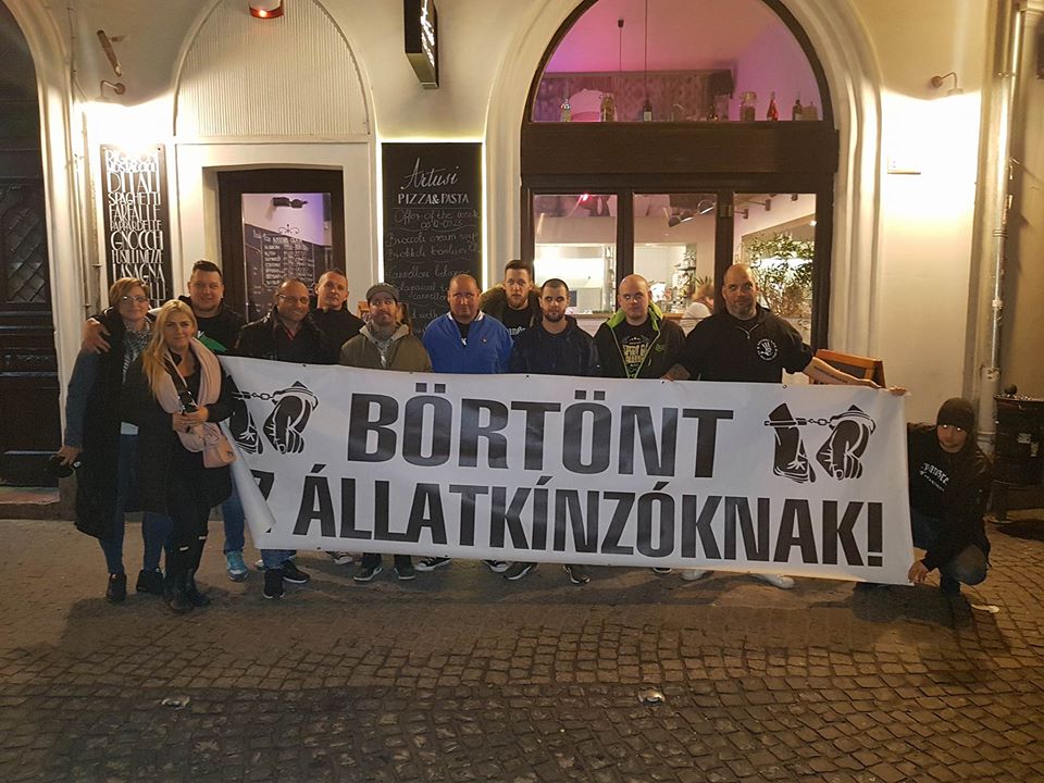 A Szurkolók az állatkínzás ellen csapata a mai napon az Artusi Bistro vendége volt.