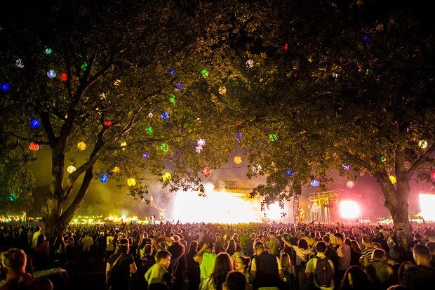 Sziget: jobb lesz, mint valaha